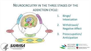 Why Addiction is a “disease” and why is it important [upl. by Atiek]