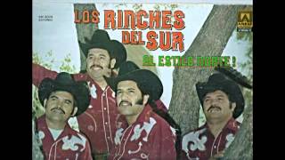 Los Rinches Del Sur  Cantarito nuevo [upl. by Corry]