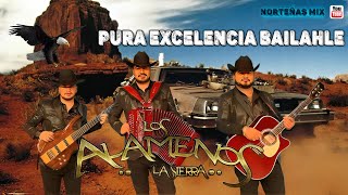 Los Alameños de La Norteñas MIX  Rolas Chingonas Para Zapatear 🎸 [upl. by Viehmann128]