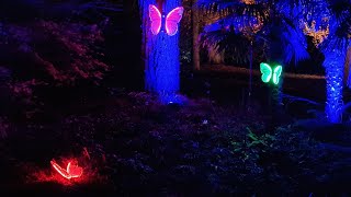 Waddesdon Manor Winter Light  Aylesbury Buckinghamshire England  20th November 2022 [upl. by Ssenav]