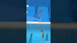 2012 👉 👈 2020  Tom Daley with identical dives at two Olympic Games ⚡️ shorts tomdaley [upl. by Yeuh70]