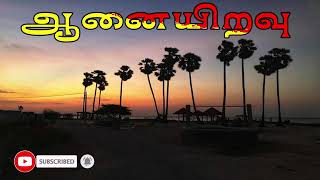 ஆனையிறவு Aanaiyiravu  Eelam songs Thaayakapaadalkal [upl. by Nosnar355]