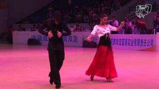 Vinokurov  Luft GER  2014 World Showdance LAT  DanceSport Total [upl. by Zinnes]