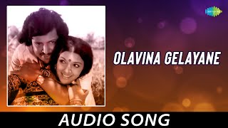 Olavina Gelayane  Audio Song  Naa Niruvude Ninagaagi  Vishnuv Ardhan Arathi  Rajan  Nagendra [upl. by Dewhurst]