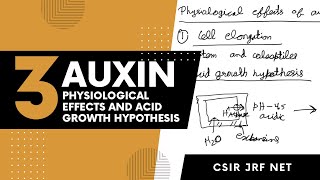 Physiological effects of auxin and acid growth hypothesis for csir net jrf and university entrance [upl. by Hyman]