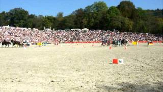 2 Hengstparade in Marbach Hansjörg Hammann LipizzanerVierspänner [upl. by Ylrebma]