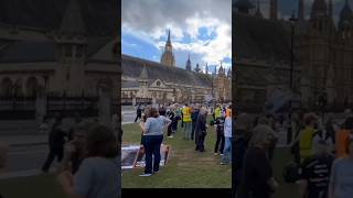 Animal rights activists protest in London against badger culling [upl. by Lyall]