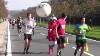 Brussels Marathon  group of pacers for a time of 445 [upl. by Readus]