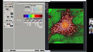 Confocal Microscopy Workshop 2D Acquisition and Spectral Separation  James Hayden BA RBP FBCA [upl. by Inohtna]