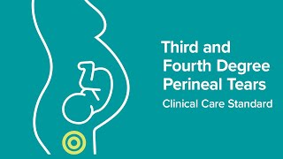 Launch of the Third and Fourth Degree Perineal Tears Clinical Care Standard [upl. by Idnahk581]