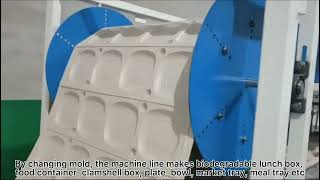 Biodegradable Rice Husk Based Food Plate Making Machine [upl. by Ecille]