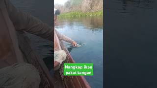 Nangkap ikan dengan tangan jaring ikan mancing mancingmania fishing ikannila youtube shorts [upl. by Theadora]