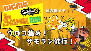 【スプラ３】サモランでウロコ集めよ🎵 スプラトゥーン3 スプラ3 [upl. by Spiros]