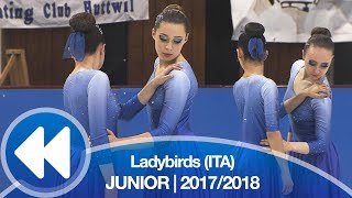 Ladybirds ITA  Free 20172018 [upl. by Hanimay240]