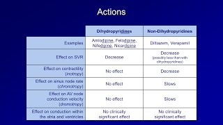 Antiarrhythmics Lesson 5  Calcium Channel Blockers [upl. by Oflodur]