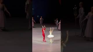 Nutcracker in Bolshoi annanikulina dmitrivyskubenko ballet bolshoitheatre [upl. by Jenks503]