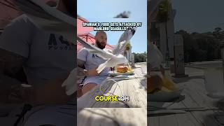 Spanians food gets ATTACKED by WARLORD SEAGULLS🦅😱 [upl. by Yekim]