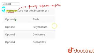 Thecodont are not the ancestor of [upl. by Esej824]