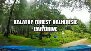 Road to Kalatop Forest  Car Drive  Dalhousie  Chamba  Himachal  Travel  Himalayas  Mountains [upl. by Yves]