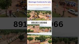 Shadnagar farmlands for sale farmland in shadnagar agricultural land in Shadnagar [upl. by Enileme]