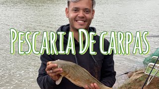 PESCARIA NA REPRESA DE PIRACAIA MUITAS CARPAS E DIVERSÕES 🎣 [upl. by Goddord866]