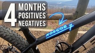 BROKEN TREK Roscoe 7 2023 Long Term Bike Review Is it still worth your money [upl. by Koeninger545]