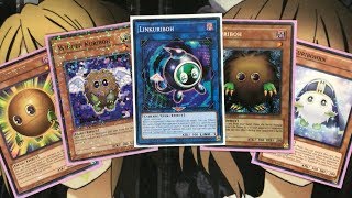 My Kuriboh Yugioh Deck Profile for July 2018 [upl. by Petite748]