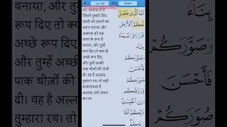 Surah Ghafir Ayat 62 Tarjuma  quranrecitation surahghafir viralvideo shortsvideo video [upl. by Inman113]