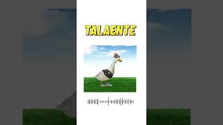 Tiere als Talahon sorts talahon lustig [upl. by Animrac]