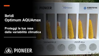 Ibridi Optimum AQUAmax proteggi le tue rese dalla variabilità climatica [upl. by Angeline]