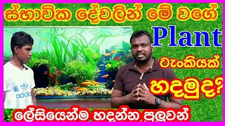 Planted tank setup sinhala 2×15×15 ස්භාවික planted ටැංකියක් හදාා ගමු  sinhala [upl. by Intisar]