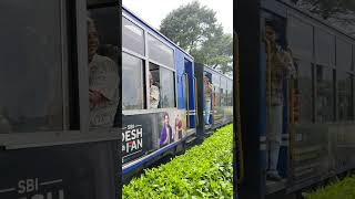 Darjeeling Toy Train [upl. by Eseer]