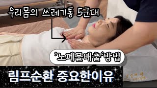 몸에쌓인 노폐물배출 방법 위치 필요성 림프순환 혈자리 마사지 [upl. by Nwonknu]