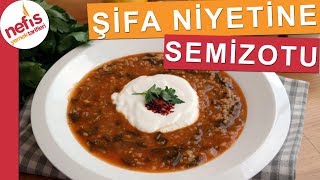 Semizotu Yemeği Nasıl Yapılı  Tam Bir Şifa Kaynağı Deposu  Nefis Yemek Tarifleri [upl. by Amikehs182]