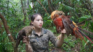 200 days of survival in the wild trapping wild boar turkey pheasant survival alone [upl. by Cooperstein]