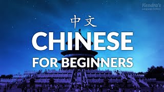 200 Chinese Conversation Phrases for Beginners – Easy amp Slow [upl. by Fawnia382]