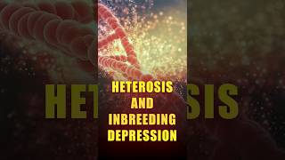 🛑HETEROSIS AND INBREEDING DEPRESSION agriculture icarsrf icarjrf plantbreeding geneticscuet [upl. by Franzen]