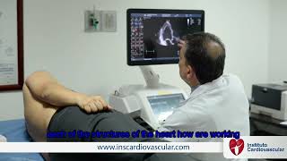 Transthoracic Echocardiogram [upl. by Kendrick]