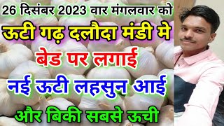 दलौदा मंडी नई ऊटी लहसुन की सुपर क्वालिटी आई 26 दिसंबर 2023new best ooty garlicmalching ooty garlic [upl. by Hinman72]