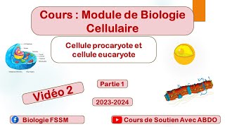 Biologie Cellulaire BCG S1 la Cellule Procaryote et Eucaryote Vidéo 2 [upl. by Salvucci]