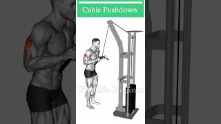 Maximize Your Tricep Workout with these Cable Exercises [upl. by Adai]