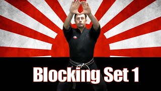 Blocking Set 1 in Kenpo Karate  Yellow Belt Kenpo Karate Requirements kenpo kenpokarate [upl. by Aeneas673]