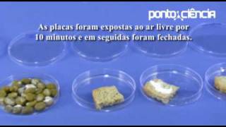 Pontociência  Por que os alimentos estragam [upl. by Godred]