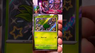 Shiny Oddish Pokemon Paldean Fates Pack opening music pokemon tcg [upl. by Nikolaos176]