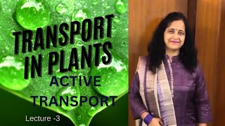 Active Transport  Transport in Plants  Explanation With Example  Biology Ocean [upl. by Asirem187]