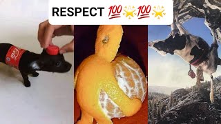 Respect video 🥶😱🥶  like a boss compilation 💯🌟💯  amazing people💨💨💨 [upl. by Yerok]