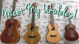 Meet My Ukuleles Comparison of Soprano Concert Tenor and Baritone [upl. by Selden]