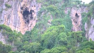 ChaAm Thailand Bat Cave  Flight of the bats [upl. by Heilner]