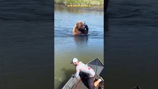 CATCHING FISH NEAR A GRIZZLY BEAR WHICH IS PLAYING WITH A WOODEN STICK [upl. by Tace913]