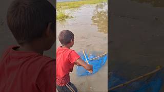 Catching Huge Deshi Fish by Traditional Bamboo ucha Trap in Beel bambootrapfishing catchfish [upl. by Iemaj]